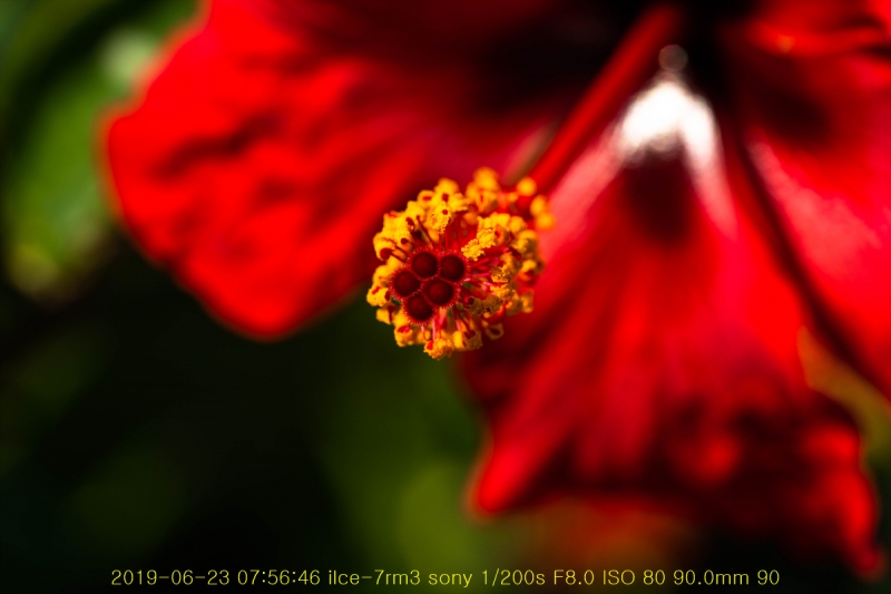 ha-20190623-08