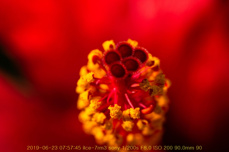 ha-20190623-09