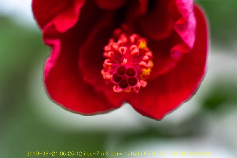 ha-20190625-03
