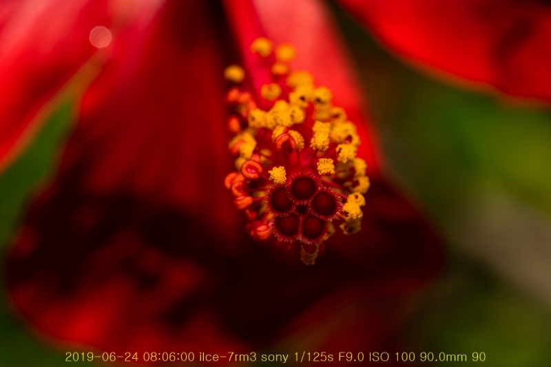 ha-20190625-09