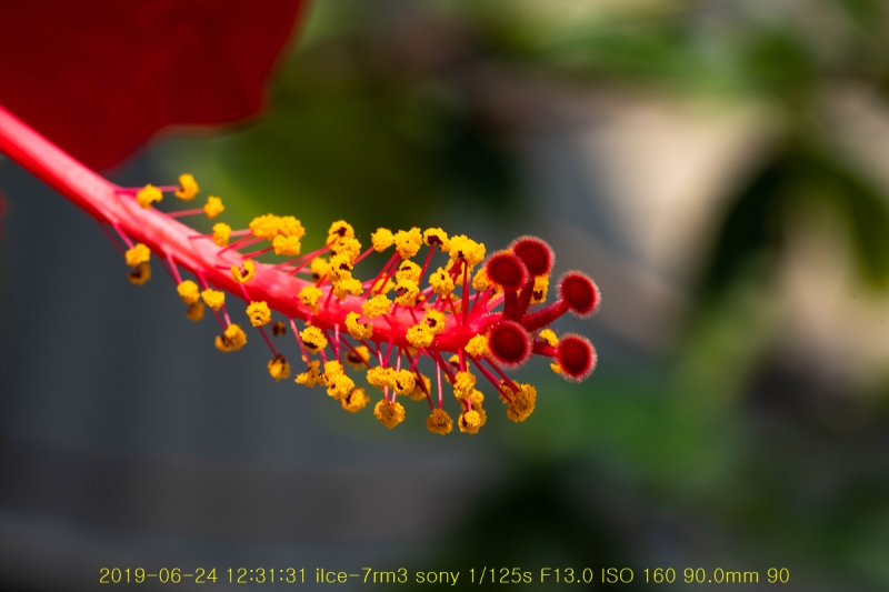 ha-20190625-27