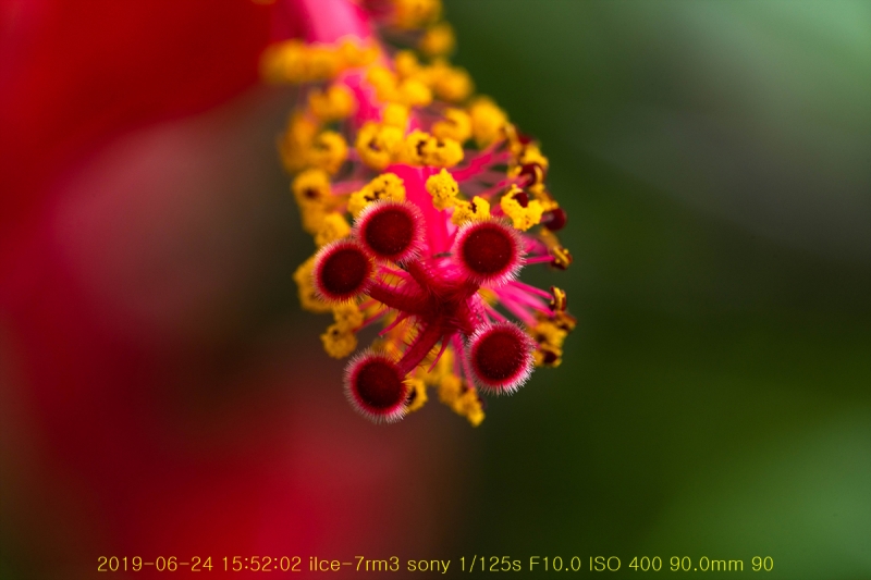 ha-20190625-29