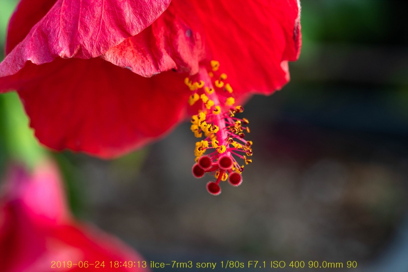 ha-20190625-34