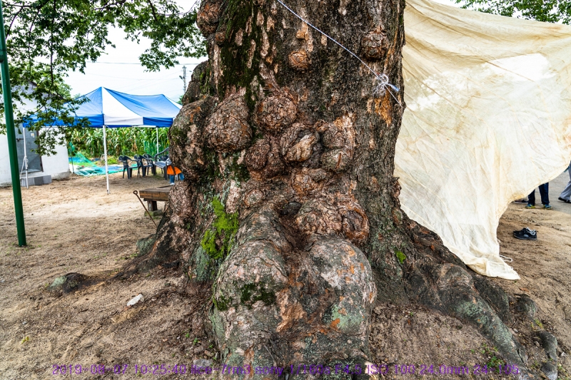 ha-20190807-63