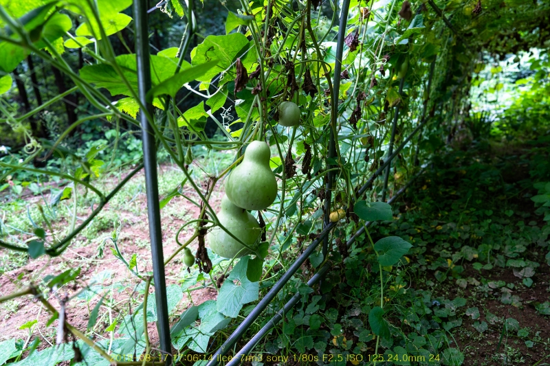 ha-20190818-07