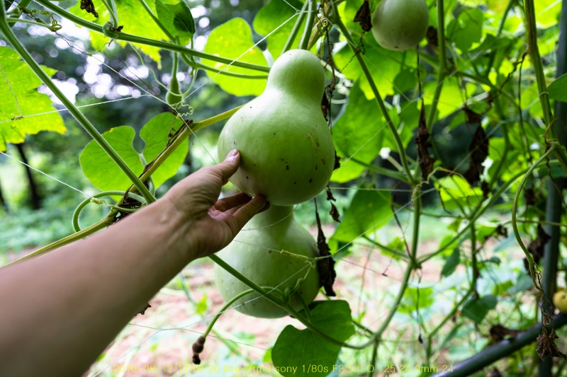 ha-20190818-08