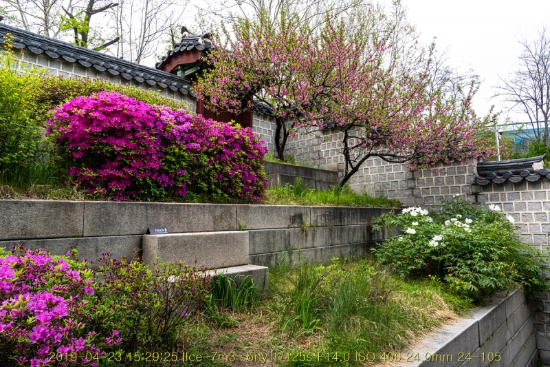 hee-20190504-40