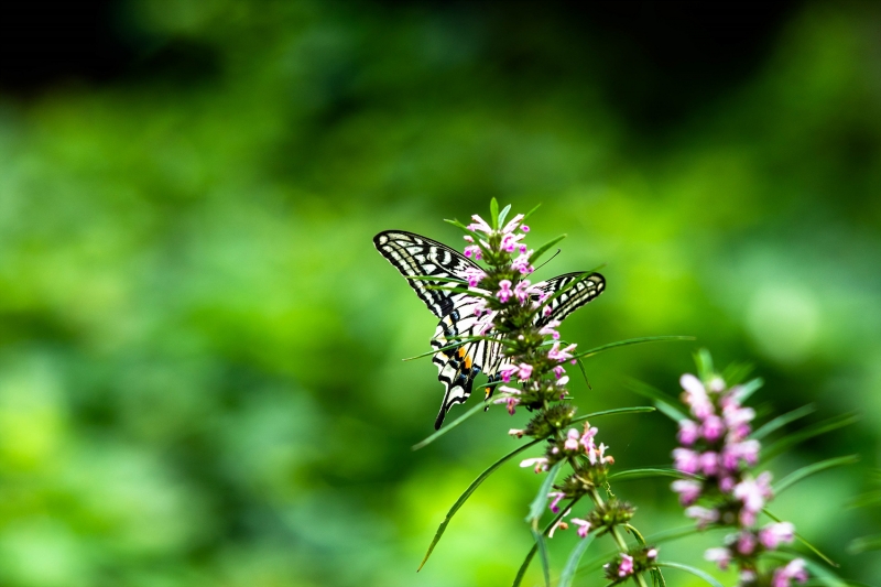 ho20190913-04