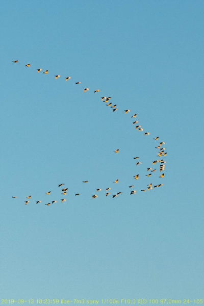 ho20190914-15