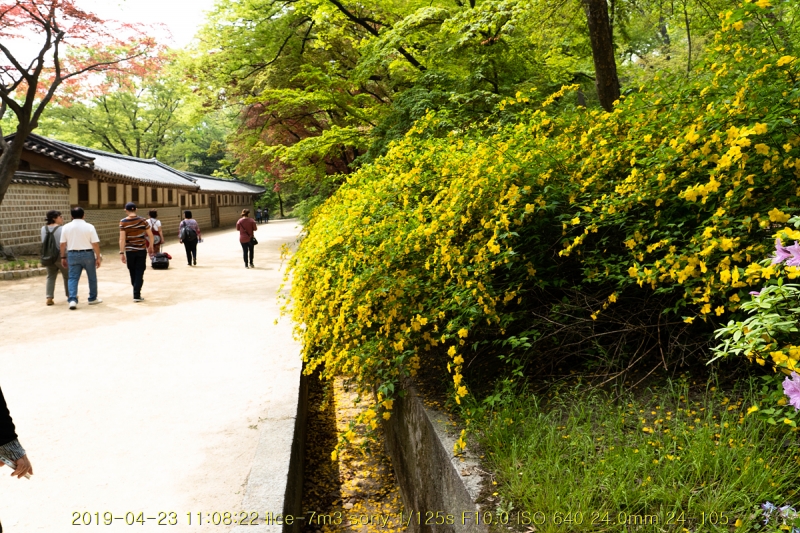 hu-20190501-119
