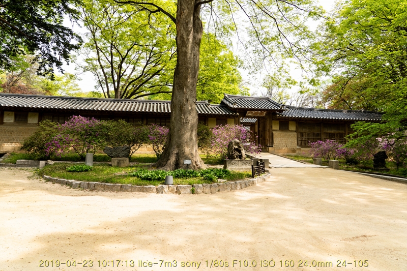 hu-20190501-39