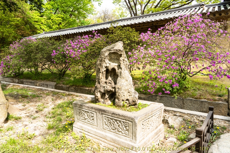 hu-20190501-40