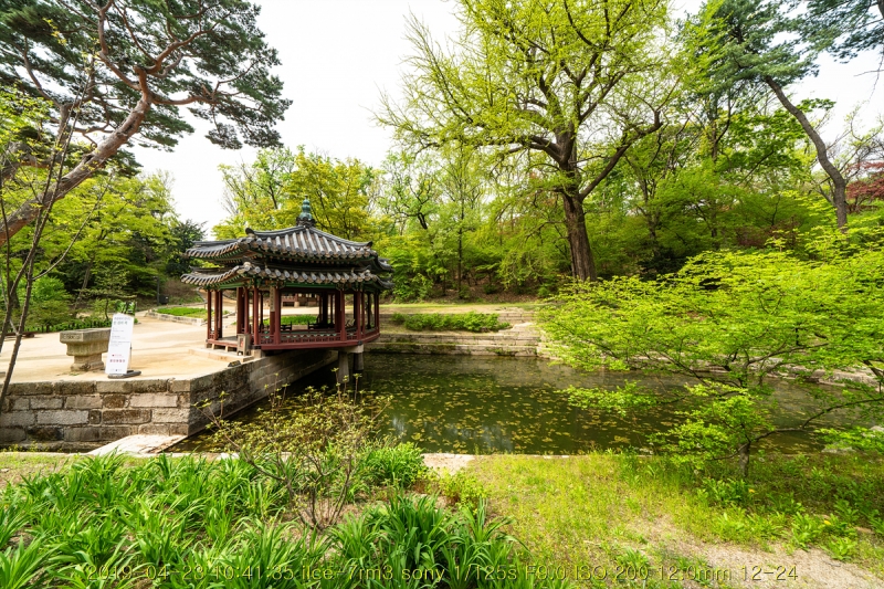 hu-20190501-82