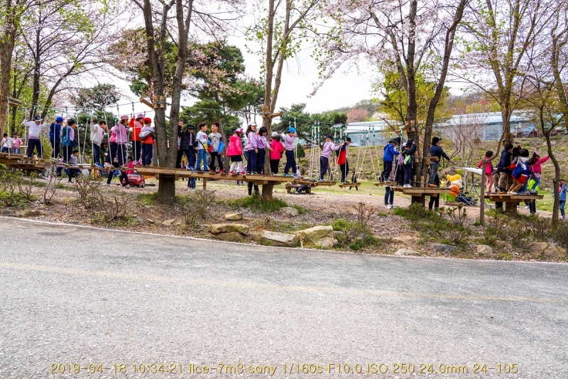 ian-20190418-39