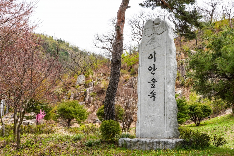 공주의 이안숲속