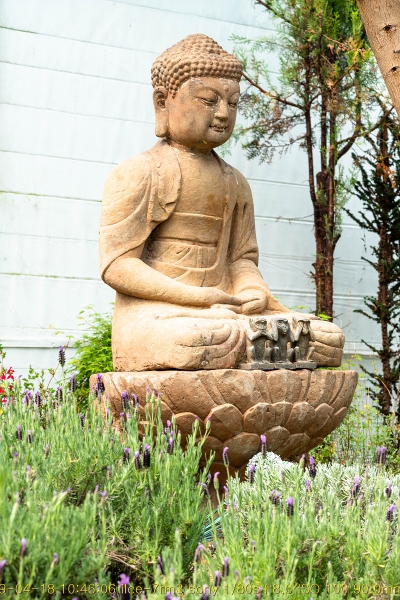 ian-20190418-90