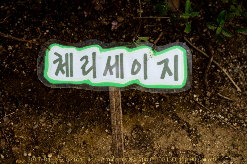 ian-20190418-95