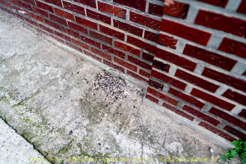 je-20190717-04