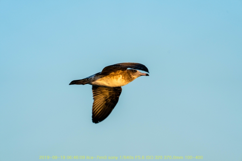 jee20190926-40