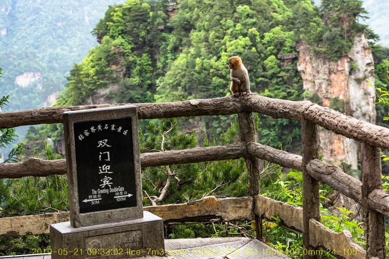 jek-20190607-02