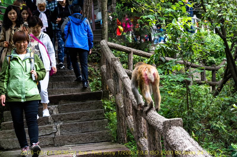 jek-20190607-19
