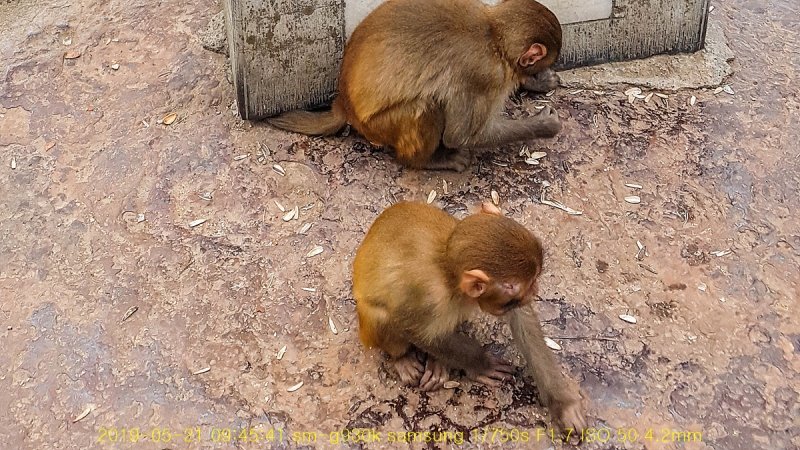 jek-20190607-70