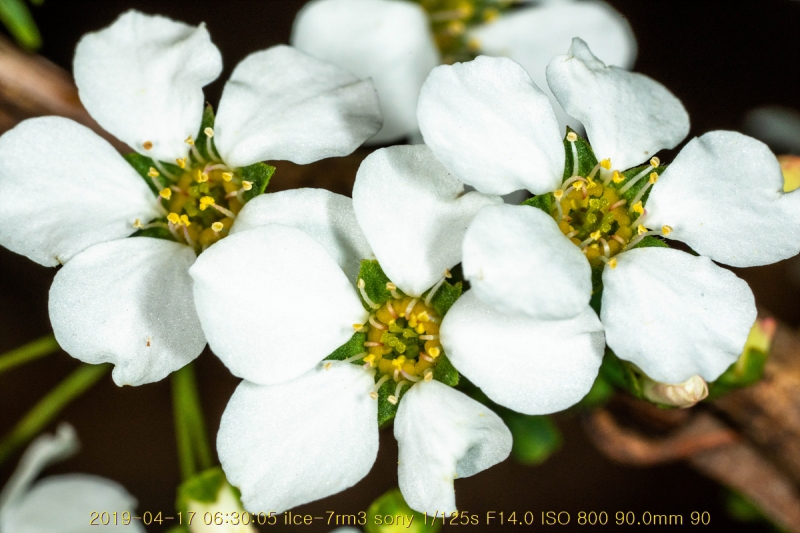 jo-20190417-18