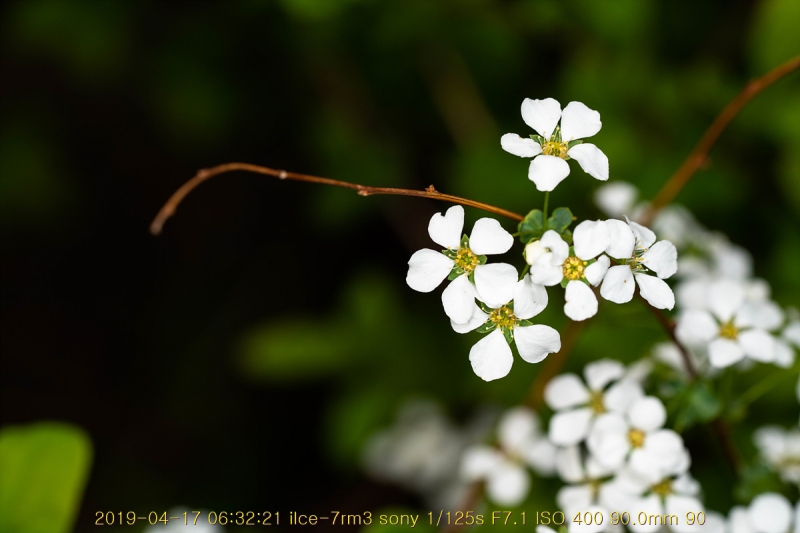 jo-20190417-21