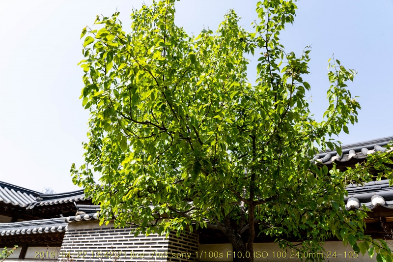 ju-20190429-61