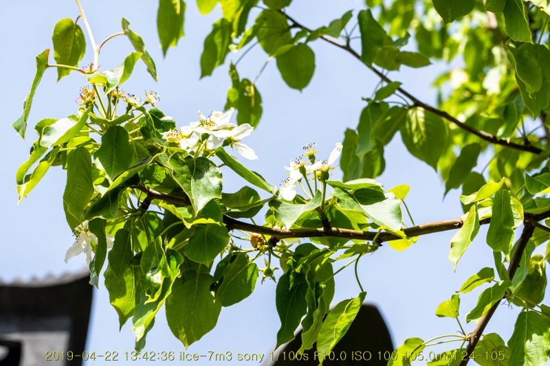 ju-20190429-62