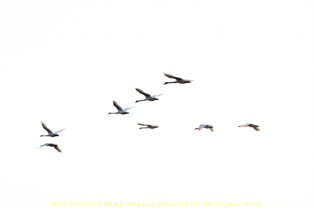 ju20191213-01