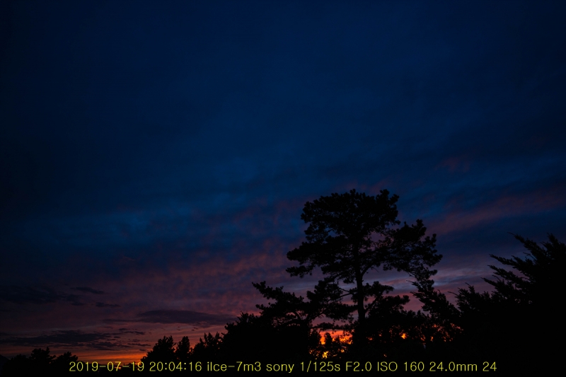 no-20190719-05