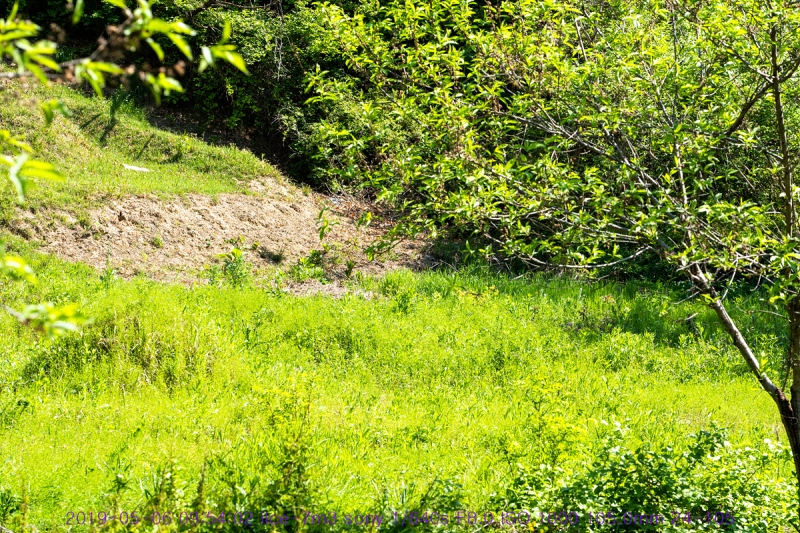 nolu-20190506-06