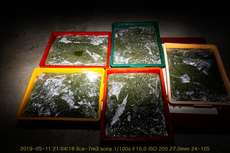 pail-20190512-04