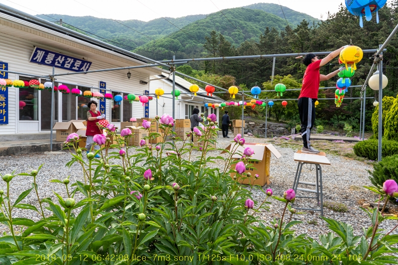 기해년 초파일 풍경