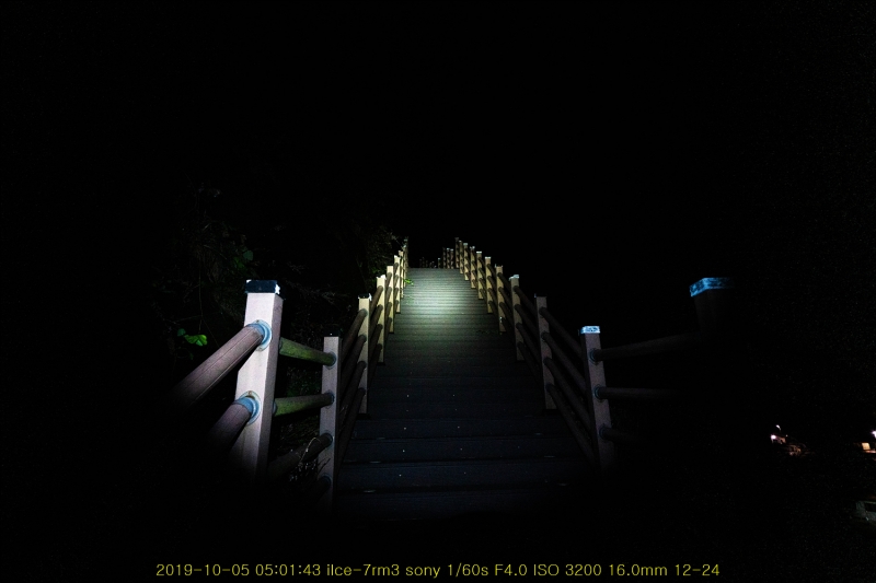 pal20191013-02