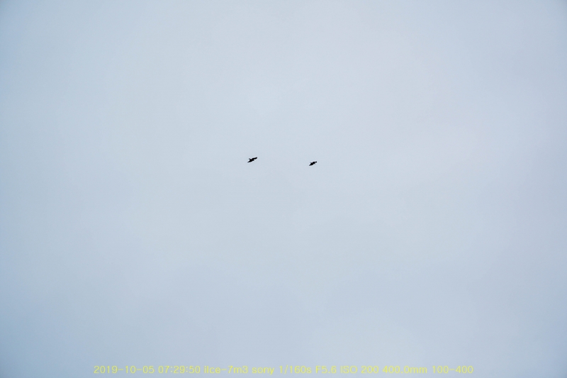 pal20191013-45
