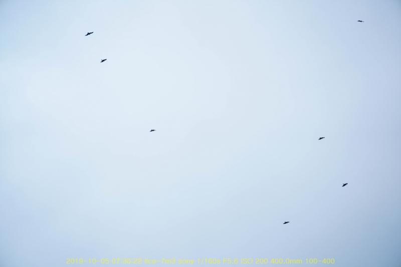 pal20191013-46
