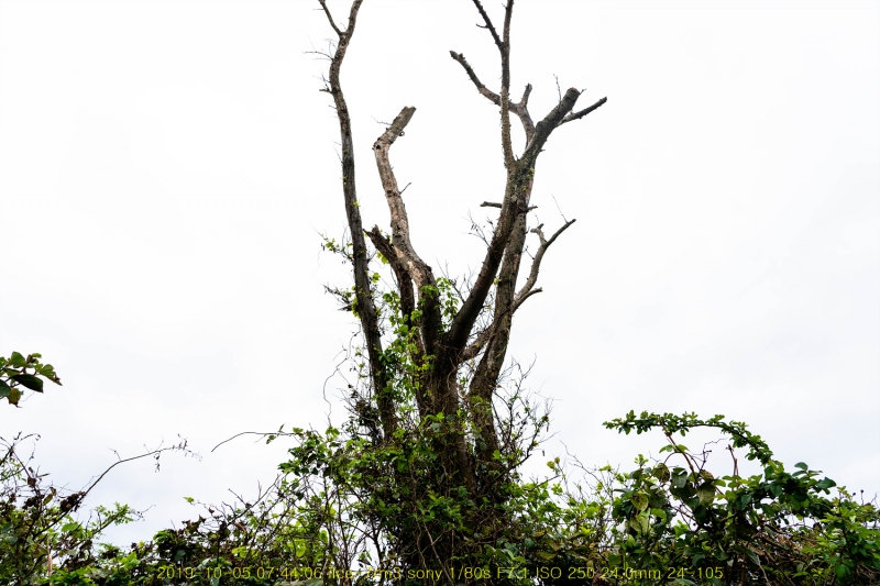 pal20191013-55