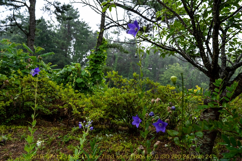 pok-20190713-04