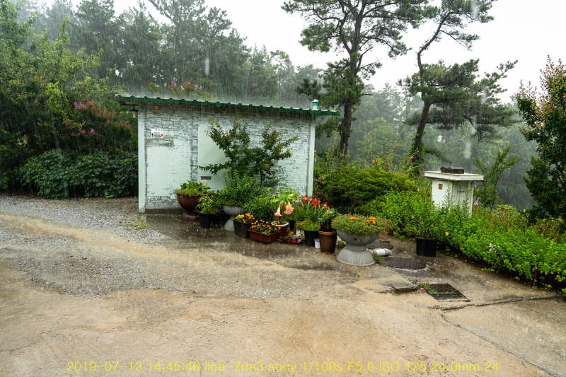 pok-20190713-12