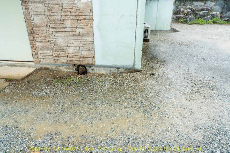 pok-20190713-14