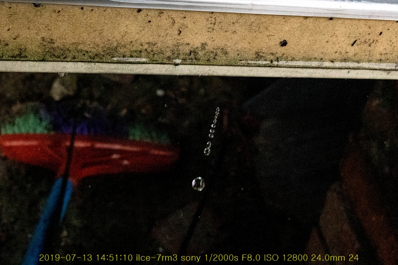 pok-20190713-22