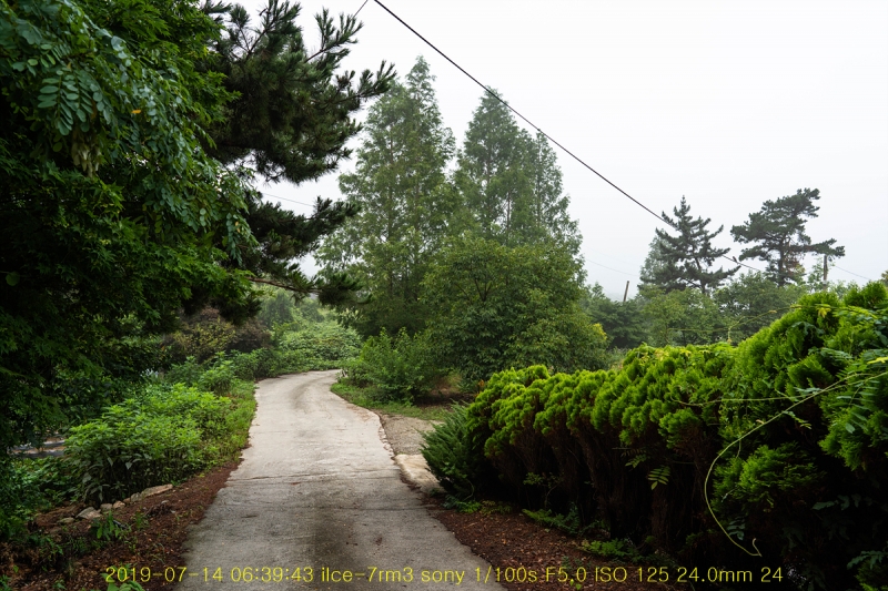 sae-20190714-03