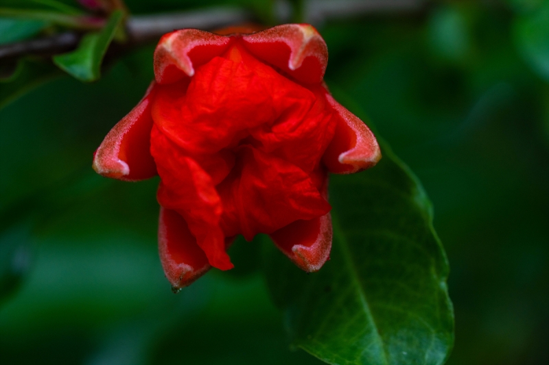 sek-20190629-02
