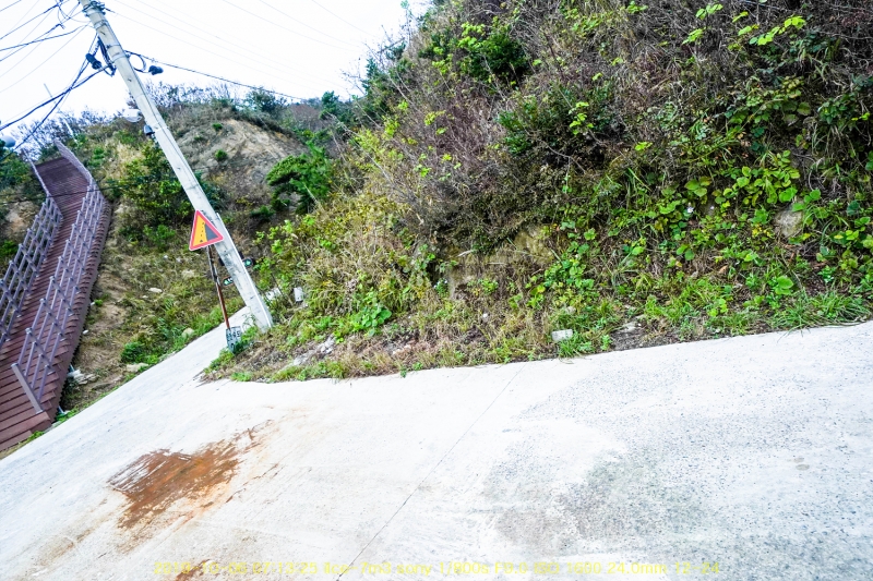 seo20191020-01