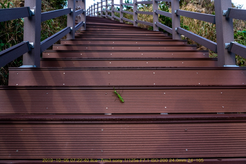 seo20191020-08