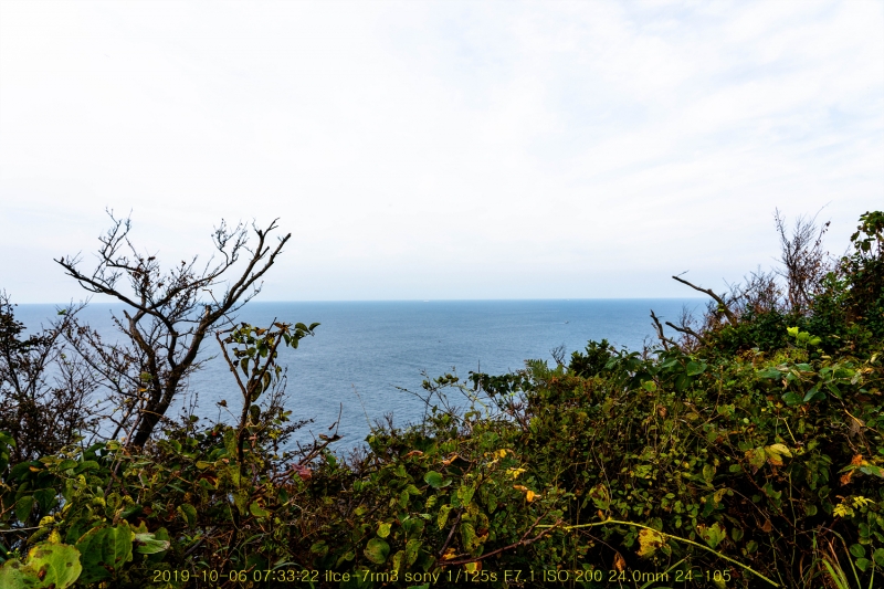 seo20191020-10