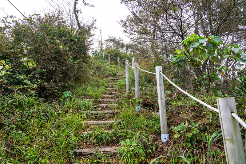 seo20191020-14
