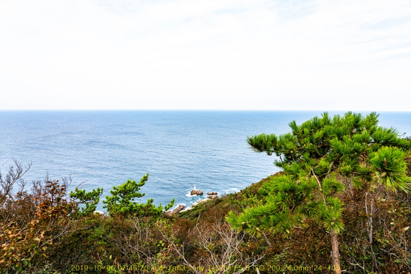 seo20191020-17